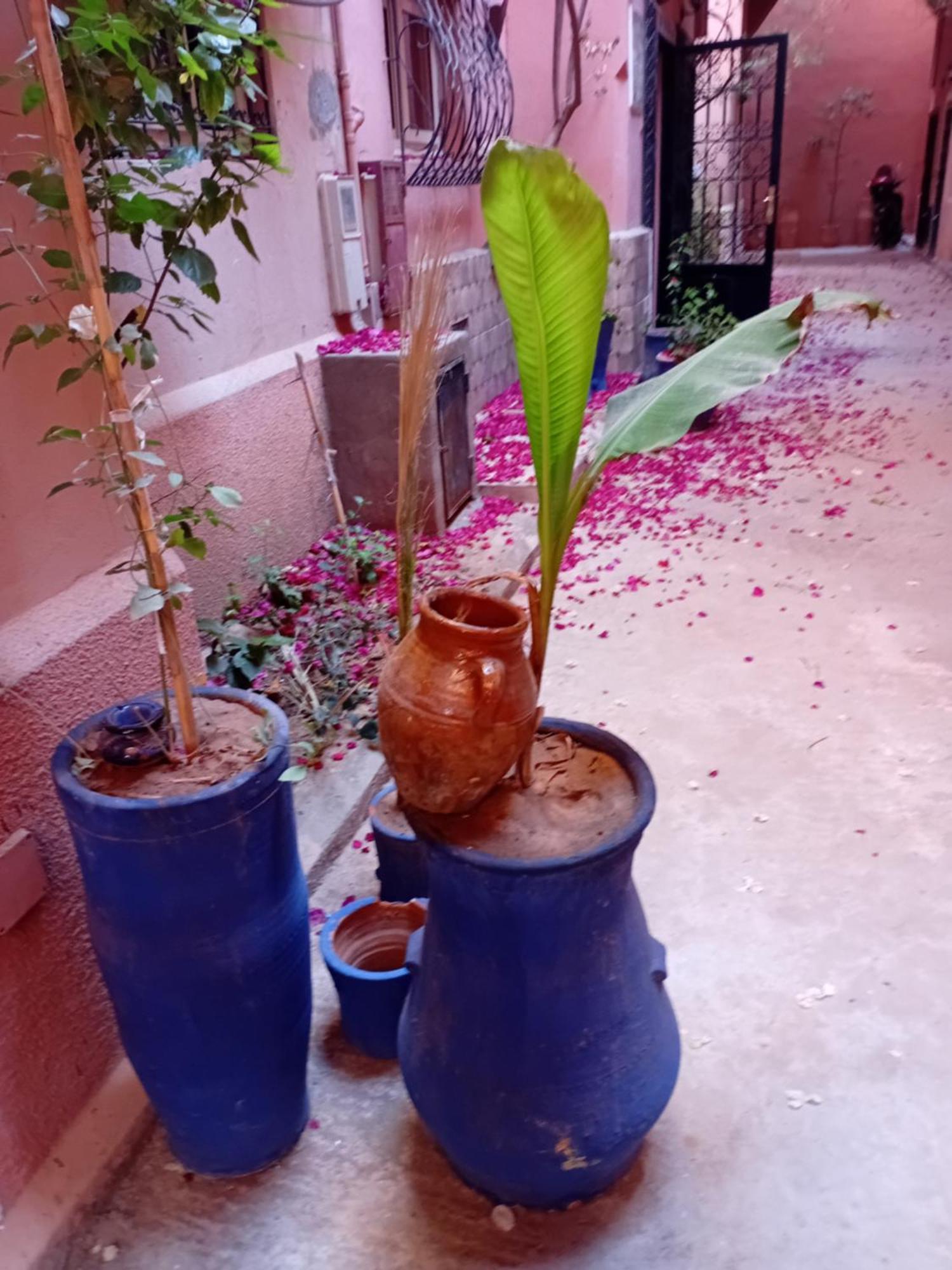 Riad Le Shams Marrakesh Exterior foto